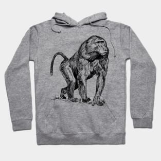 Baboon Hoodie